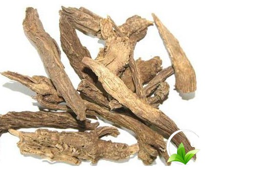 Cây Thuốc Dân Gian - địa chỉ bán tục đoạn uy tín